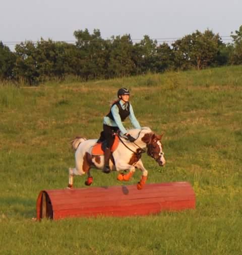 Pinto Sally billede 9