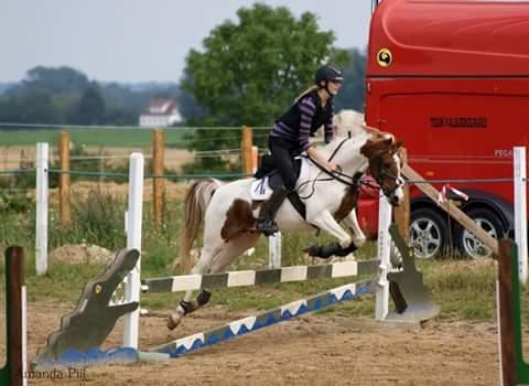 Pinto Sally billede 12