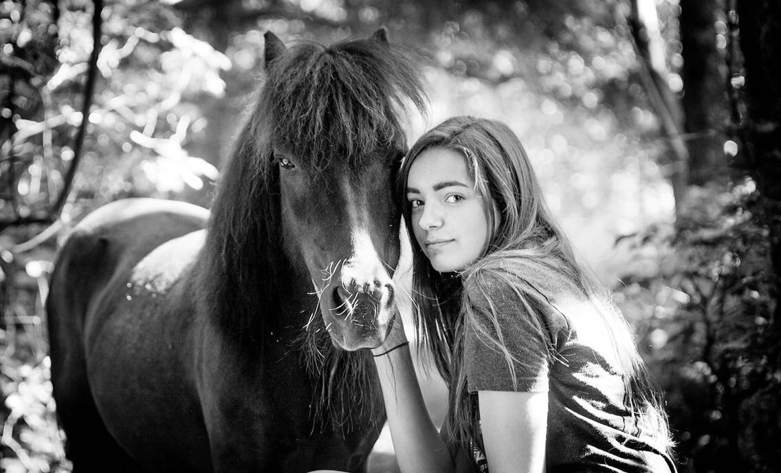 Shetlænder Paw af Ellebrud (himmelhest) billede 5