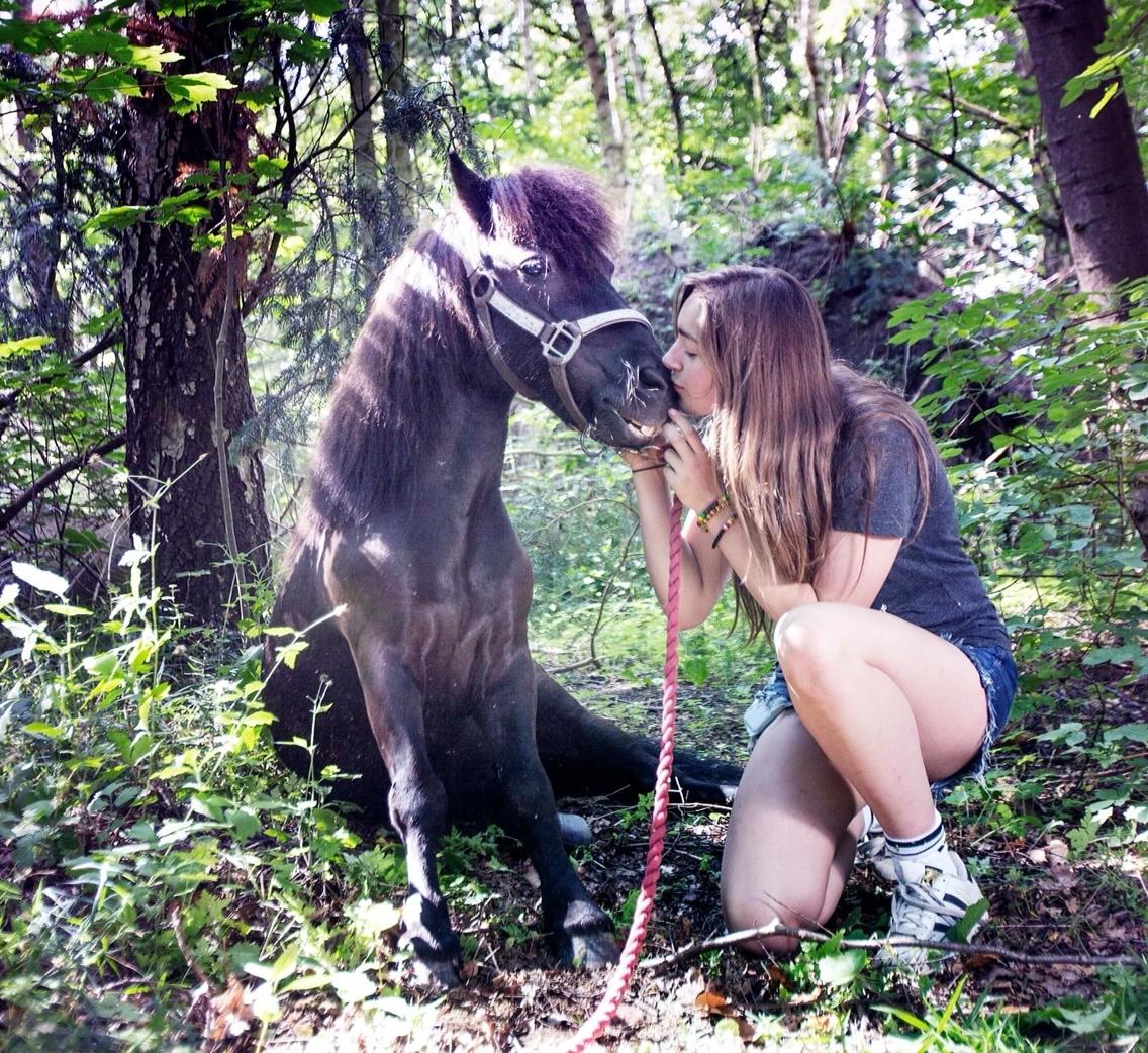 Shetlænder Paw af Ellebrud (himmelhest) billede 1