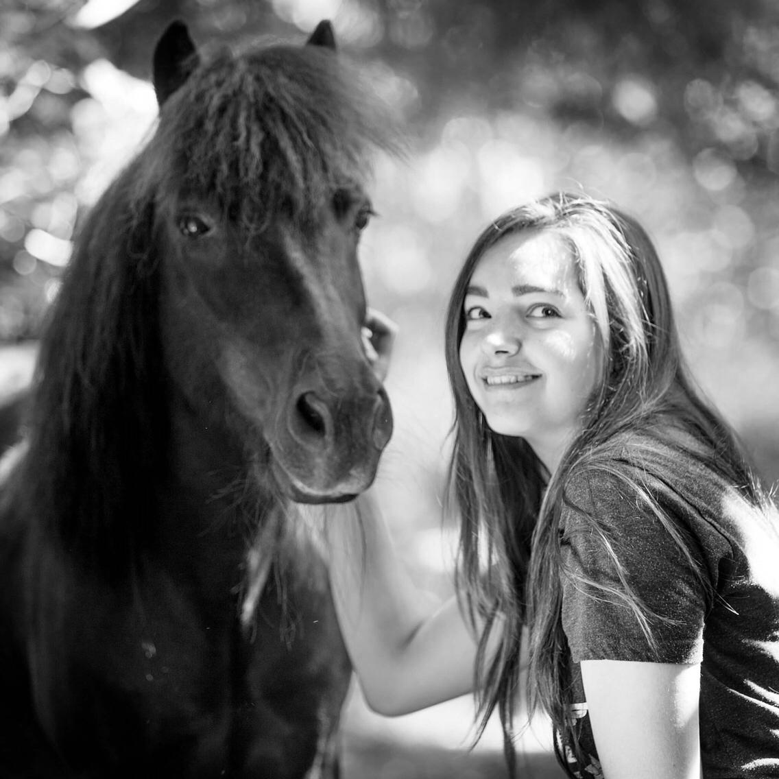 Shetlænder Paw af Ellebrud (himmelhest) billede 2