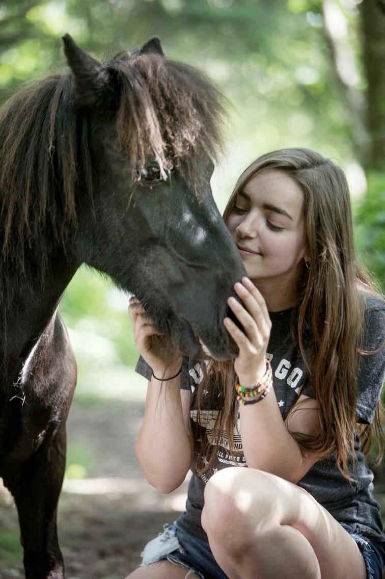 Shetlænder Paw af Ellebrud (himmelhest) billede 7