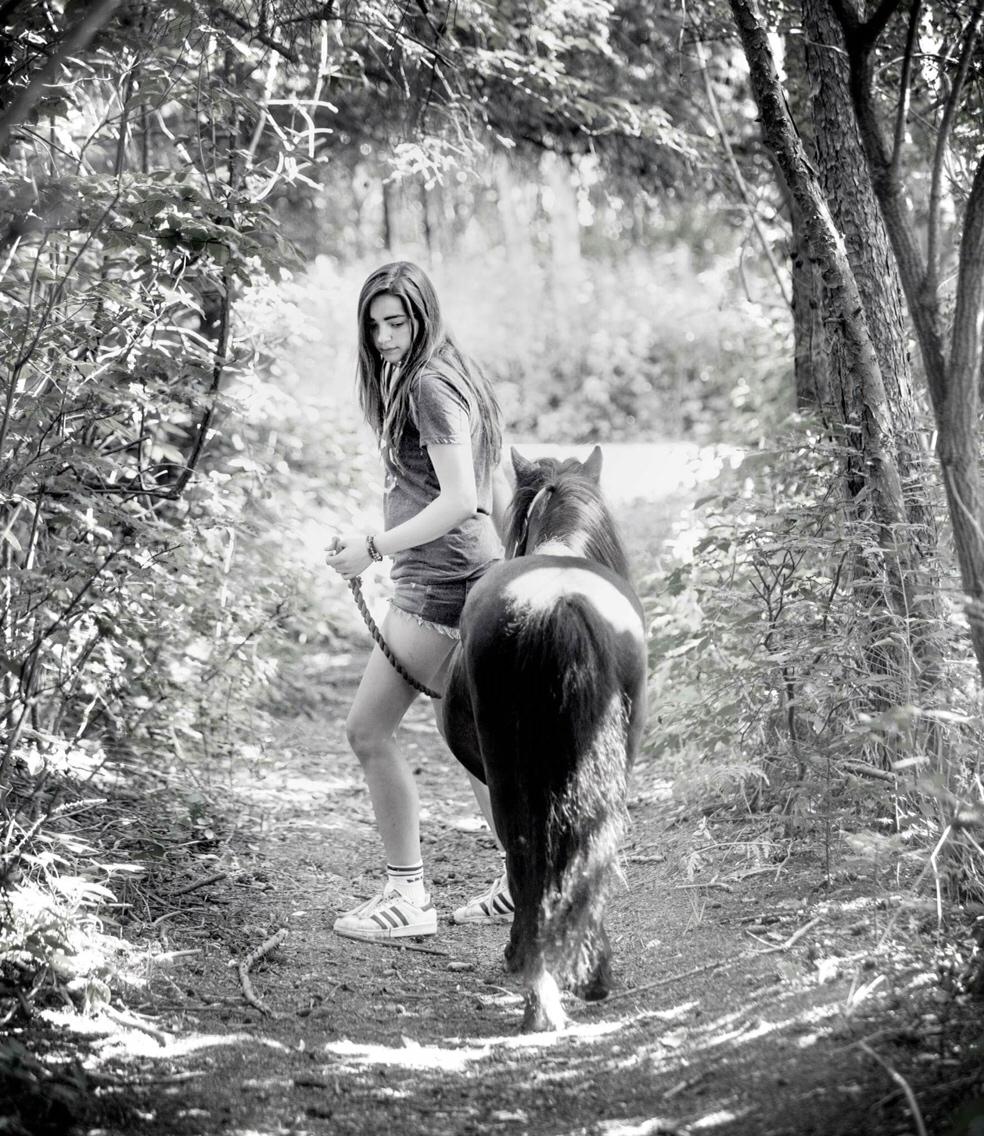 Shetlænder Paw af Ellebrud (himmelhest) billede 3