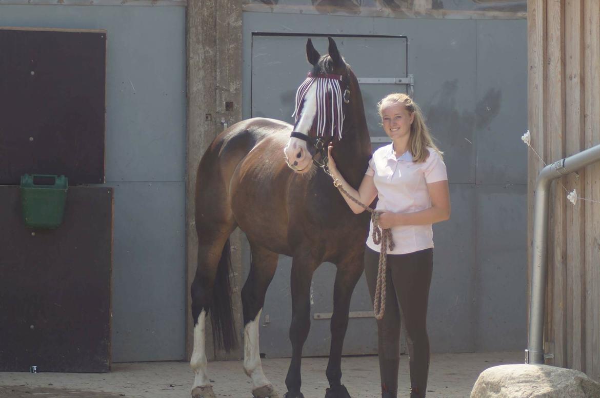 Hollandsk Varmblod Zarona R.I.P  - Lige da hun var kommet hjem :D billede 38