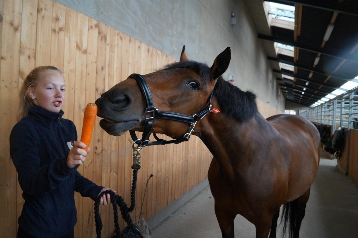 DSP Ellen - MAAAAD billede 15