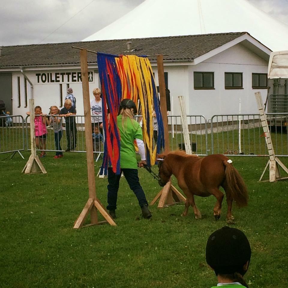 Anden særlig race BASSE ~ MY LITTLE STAR ~ <3 - TIL AGILITY <3 billede 12