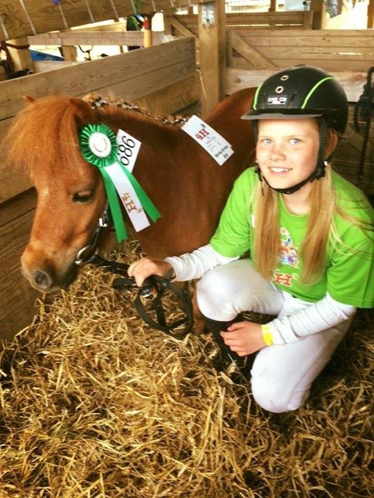 Anden særlig race BASSE ~ MY LITTLE STAR ~ <3 - MIG OG BASSE MED VORES ROSET OG POINT FOR FREMVISNING <3 billede 18