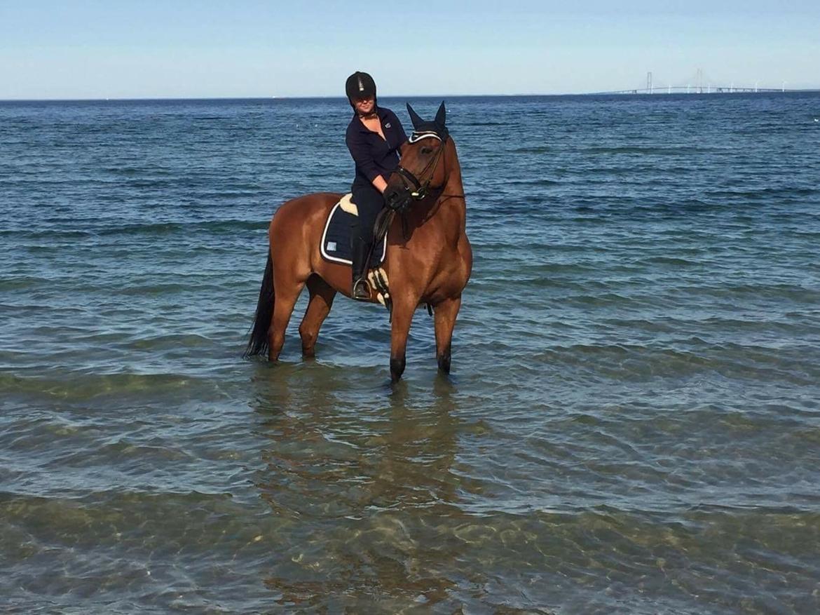 Traver Cæcar billede 40