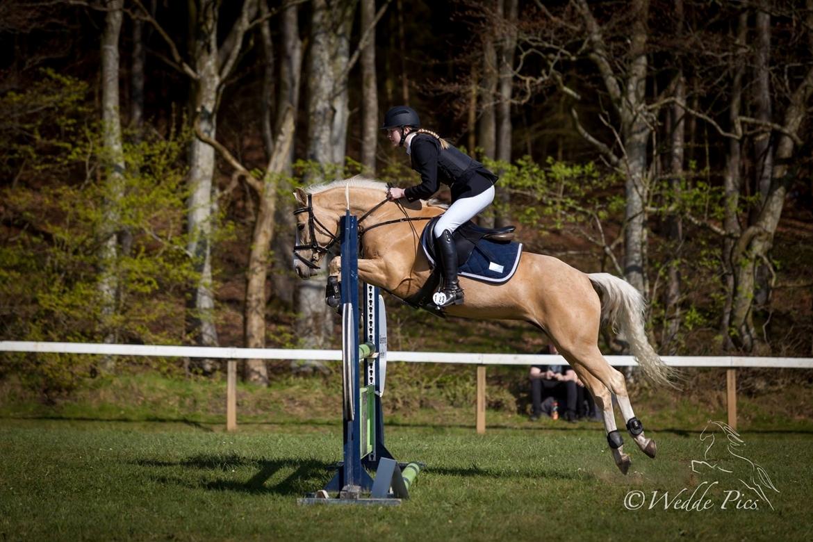 Anden særlig race FREDENS SHEER SILK billede 14