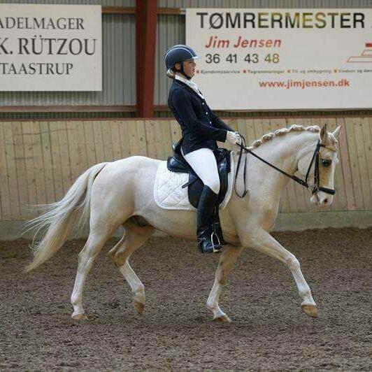 Anden særlig race  Fursten Fire        ( B-Pony ) billede 16