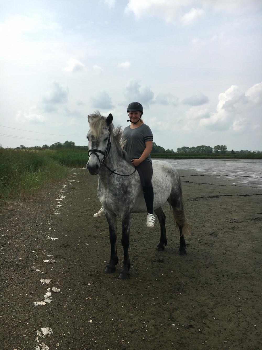 Anden særlig race Lukas - Tidligere rideskolepart billede 19