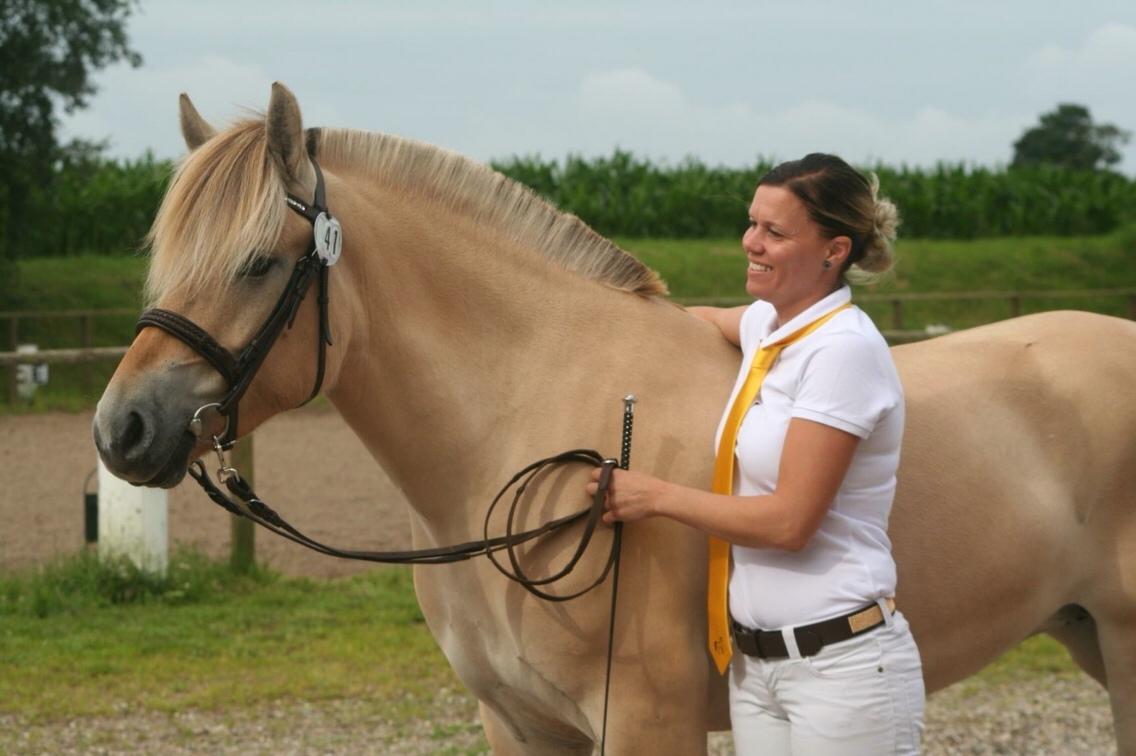 Fjordhest Munkegårdens sille billede 46