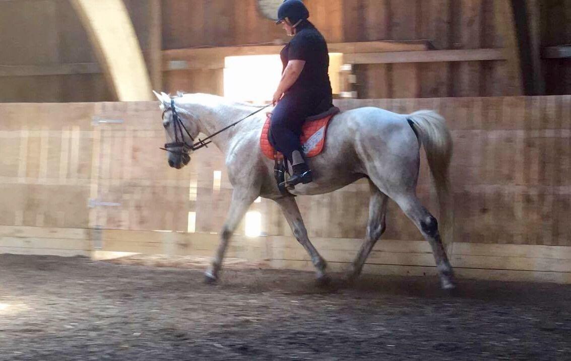 Anden særlig race Clinton billede 15