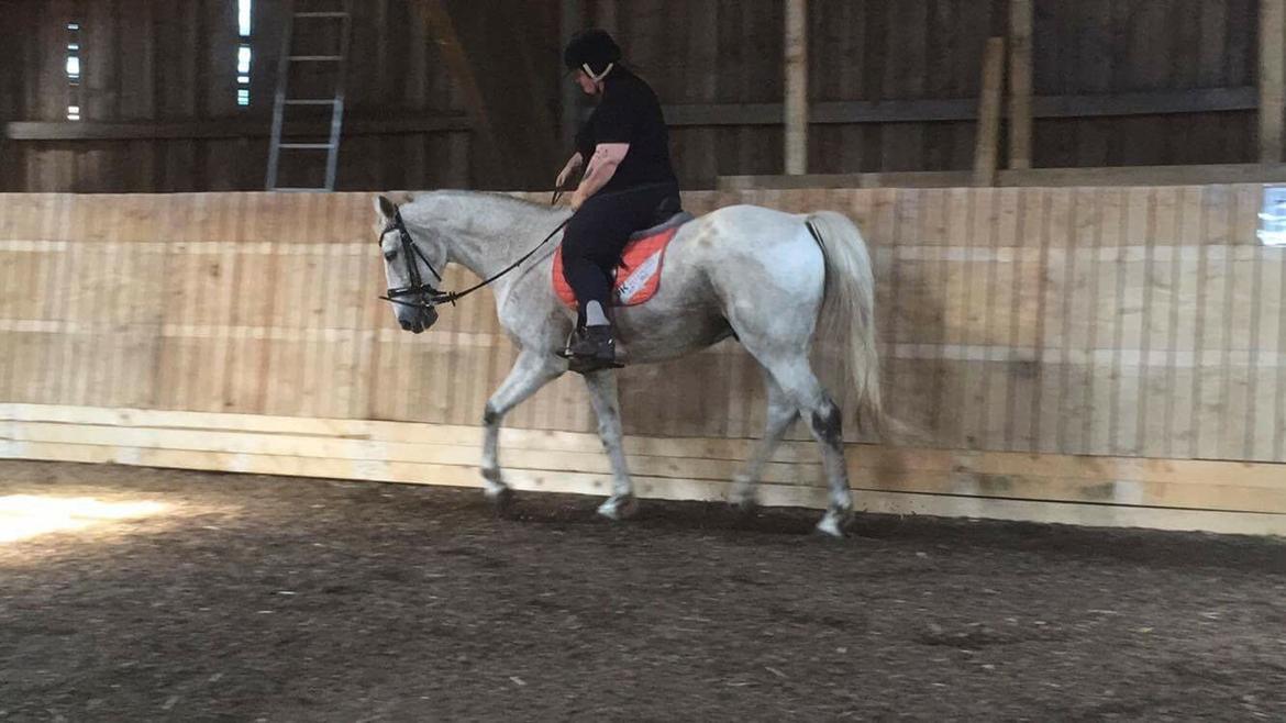 Anden særlig race Clinton billede 16