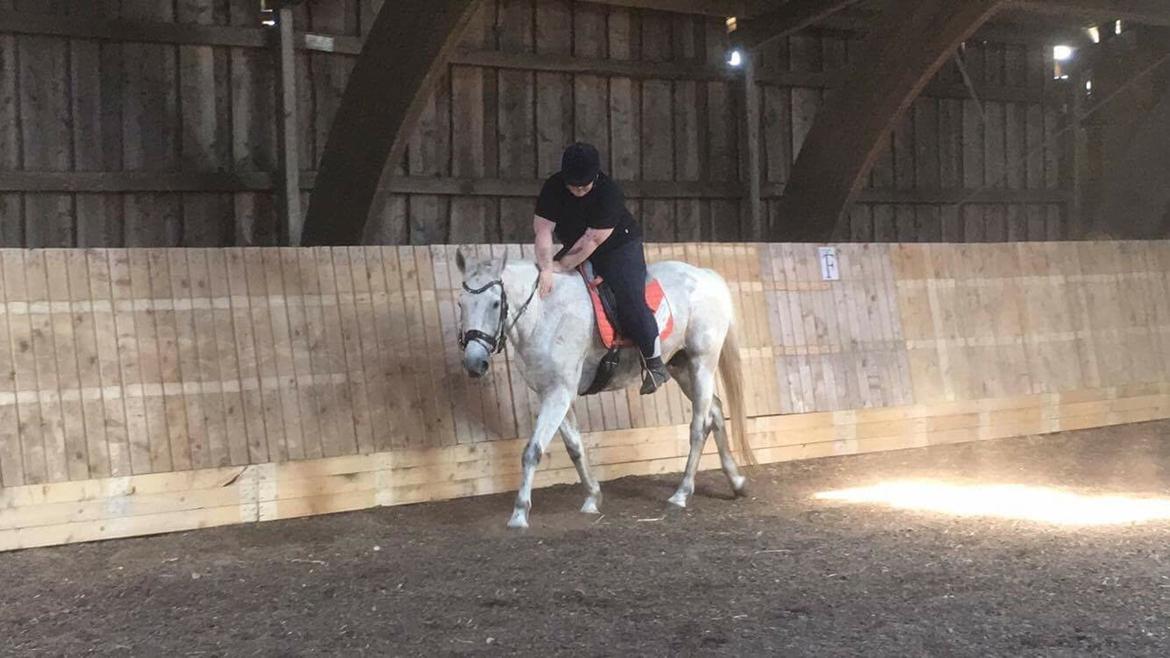 Anden særlig race Clinton billede 18