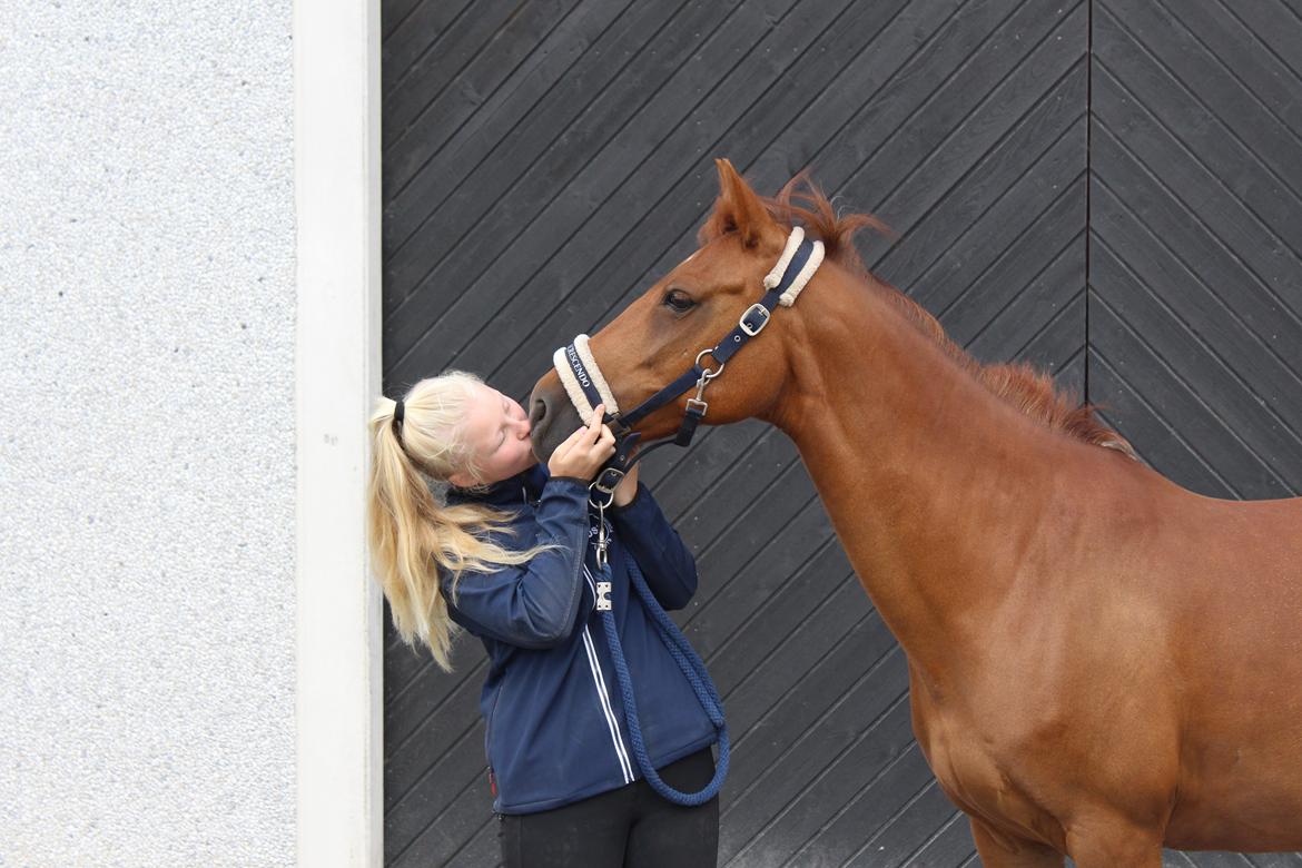 DSP Hot Chili [My soulmate] billede 1