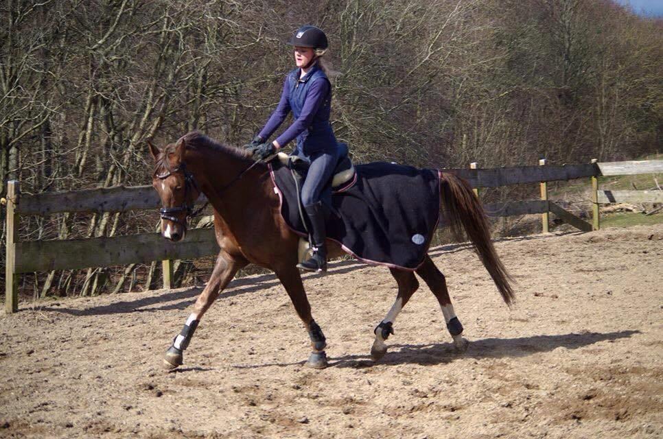 DSP Cæsar  billede 8