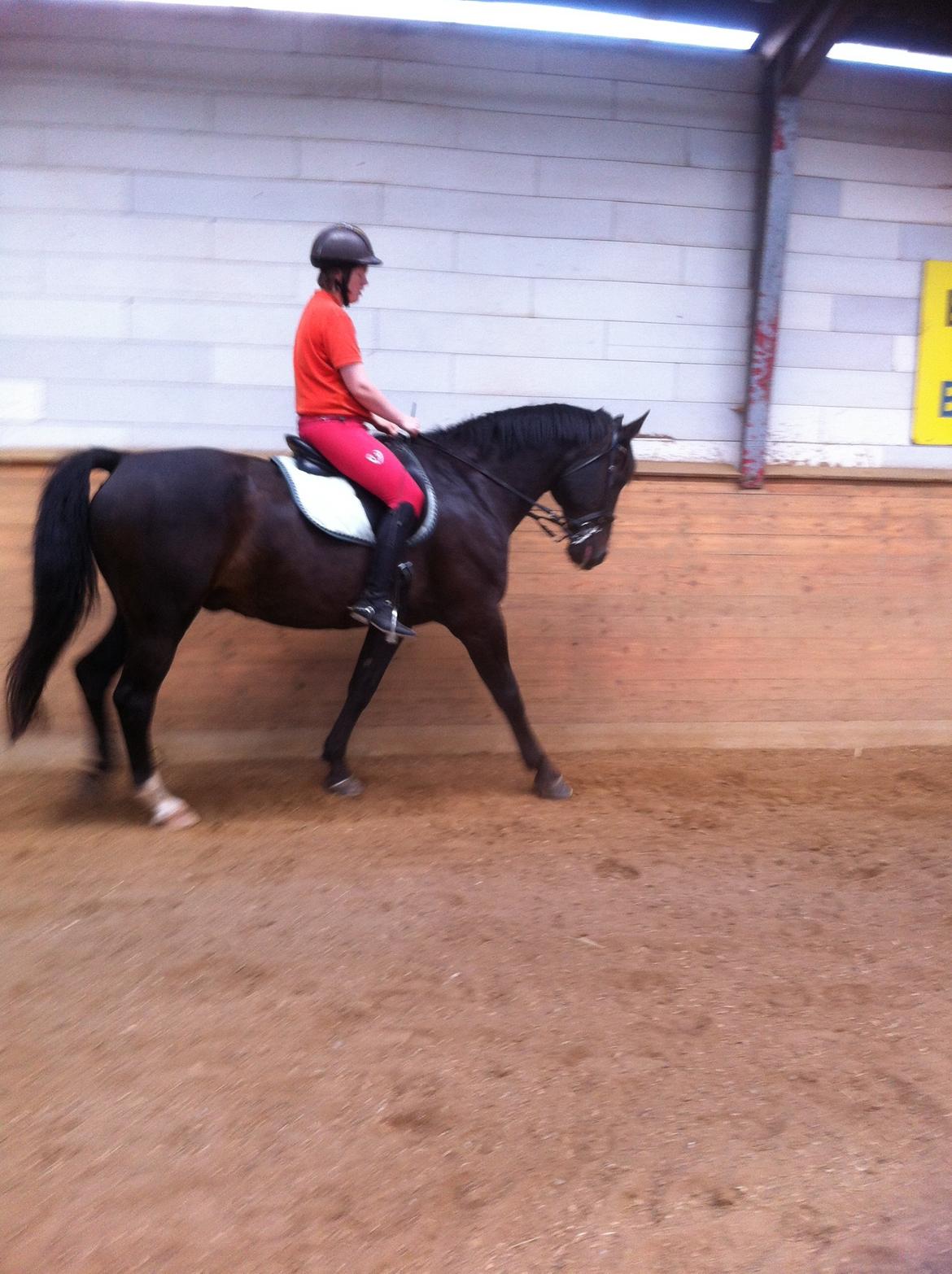 Oldenborg Caffa  billede 5