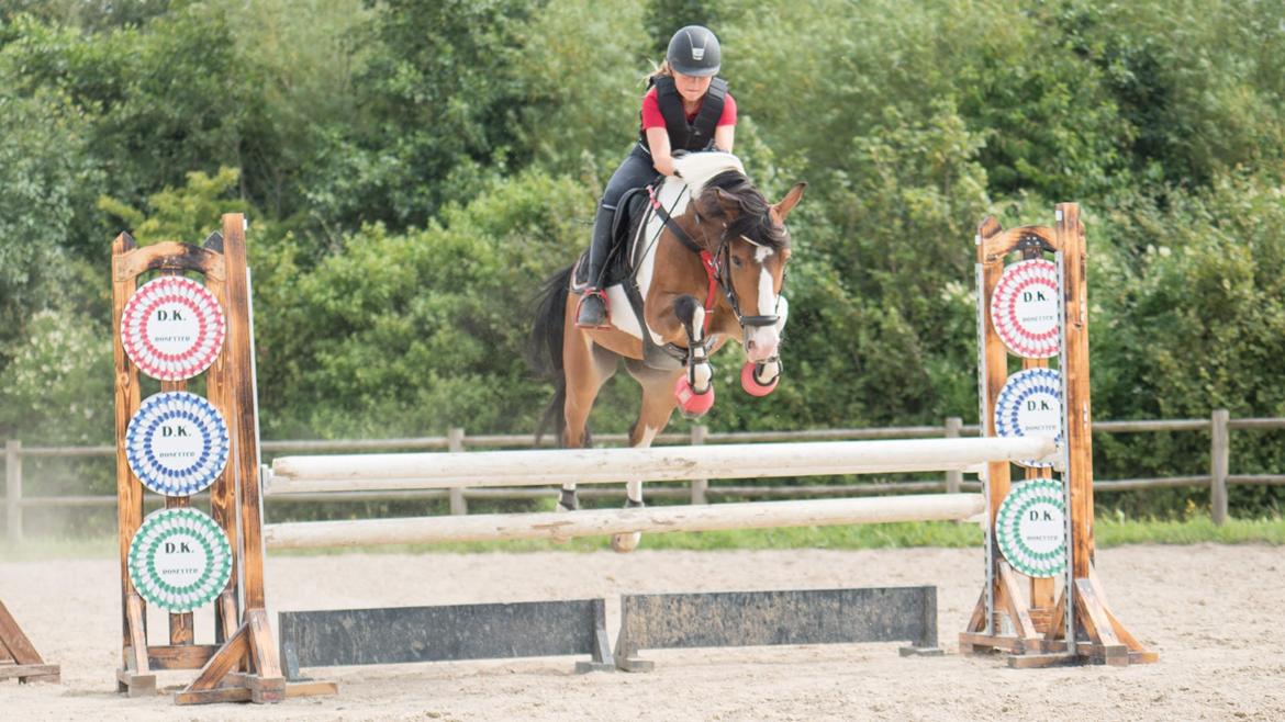 Anden særlig race Felix (springer på) - 27/07/2016 LB** træning billede 3