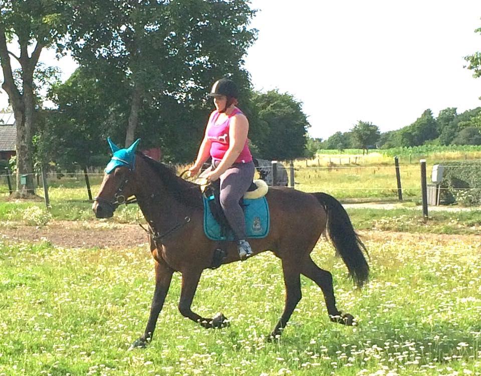 Traver RedFord billede 16