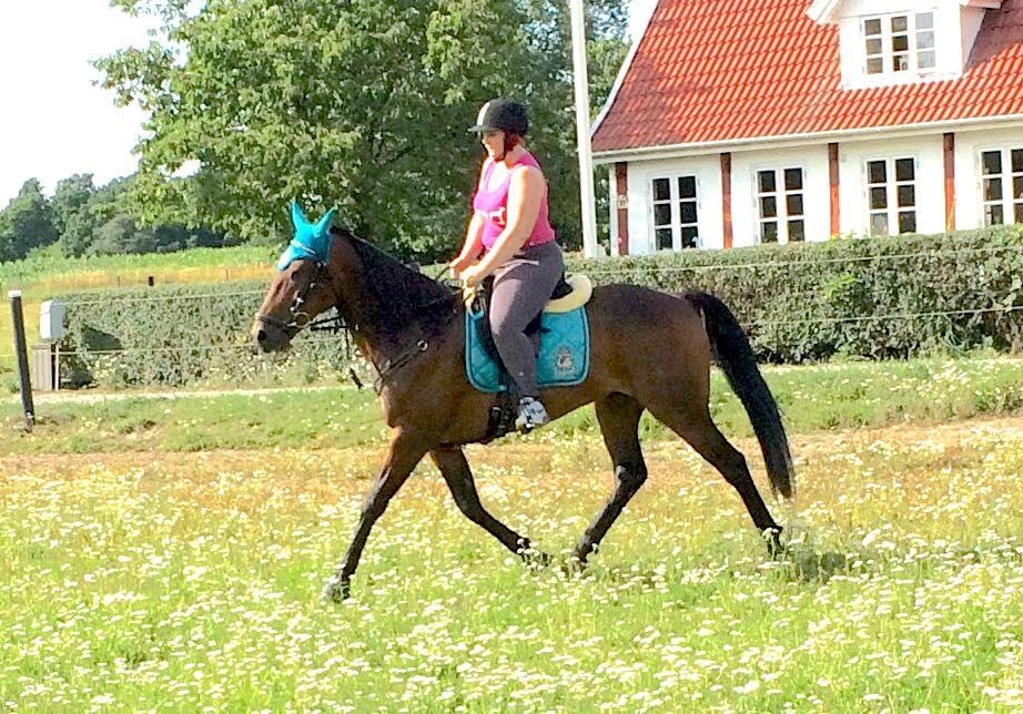 Traver RedFord billede 17