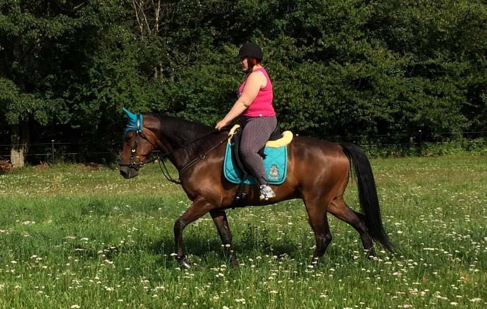 Traver RedFord billede 21