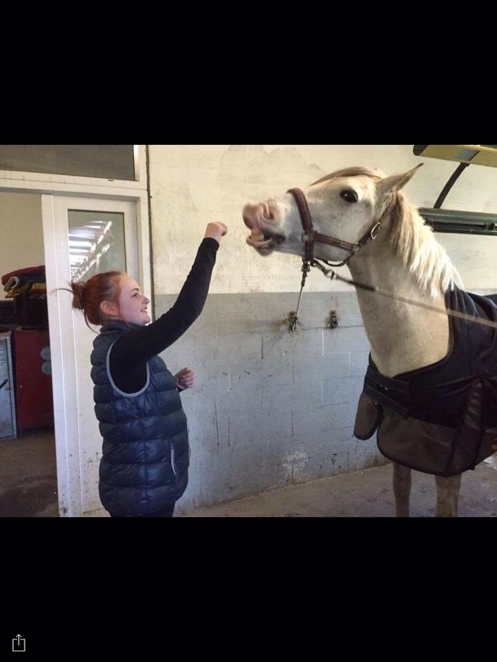 Anden særlig race Clemtens Beverly billede 1