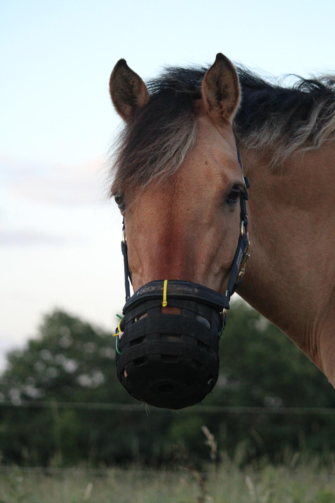 Anden særlig race Bonnie <3 {part}  - “Choose friends who are positive and loving.”  billede 28