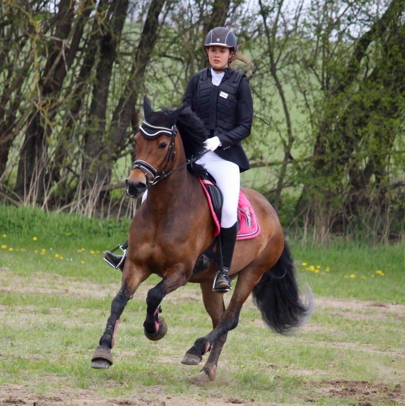 New Forest Kærgaardens Cayenne - En glad og vild dressurpony til klubmesterskab i spring <3 billede 14