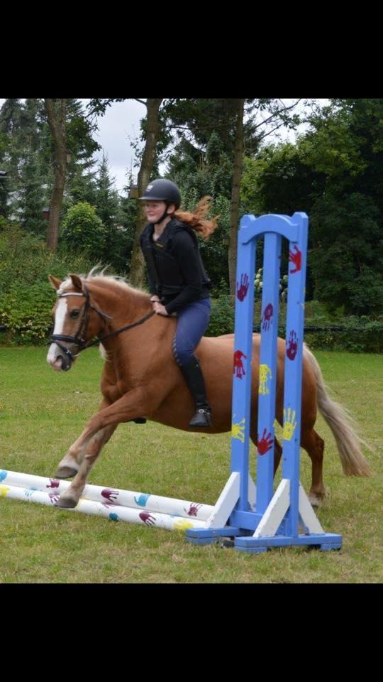 Haflinger Blondie - <3 savner dig<3 billede 3