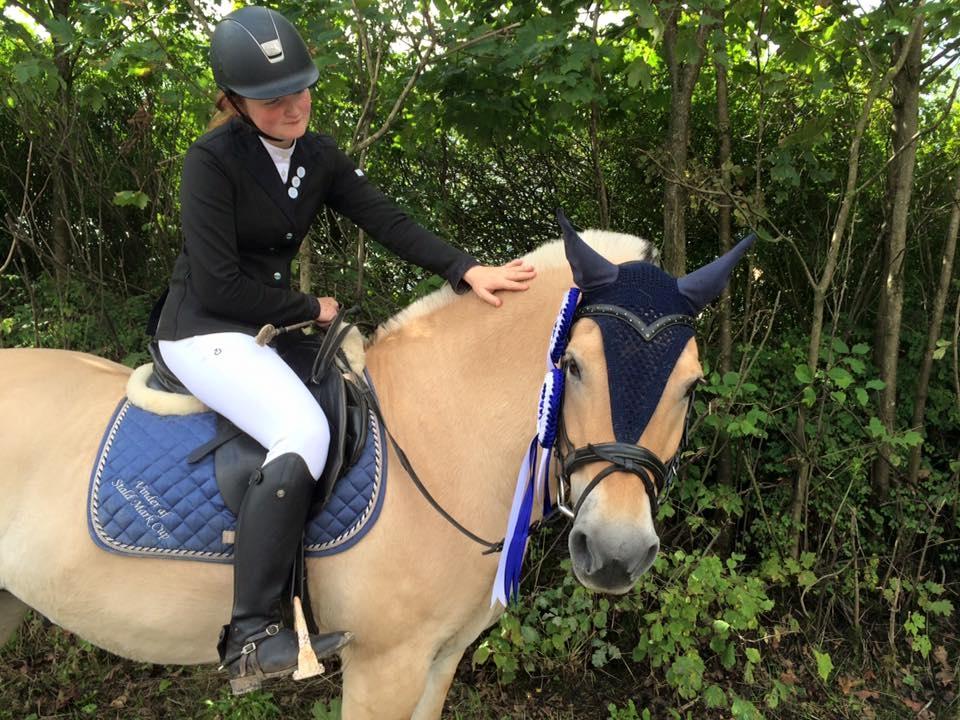 Fjordhest Micky (penti) billede 9