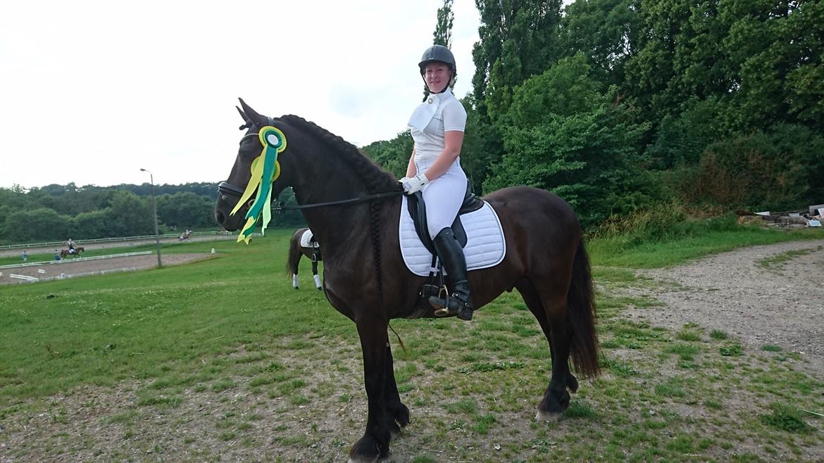 Frieser Ate fan'e Sânmar billede 3