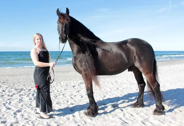 Frieser Ate fan'e Sânmar billede 5