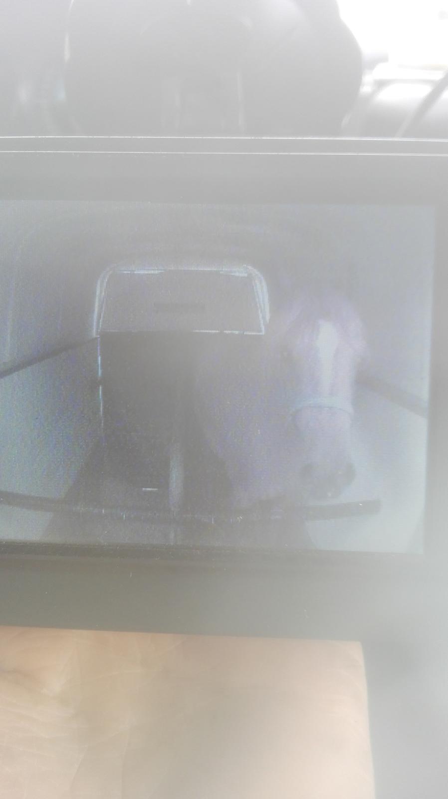 Arabisk fuldblod (OX) AWA Waseem billede 18