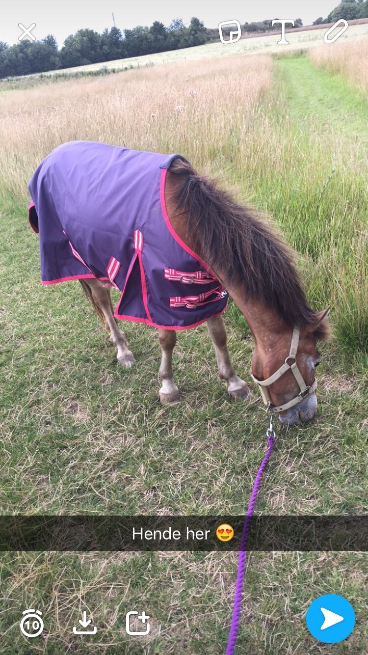 Anden særlig race Scania *AFLIVET* billede 3