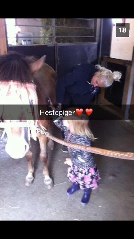 Anden særlig race Scania *AFLIVET* billede 7