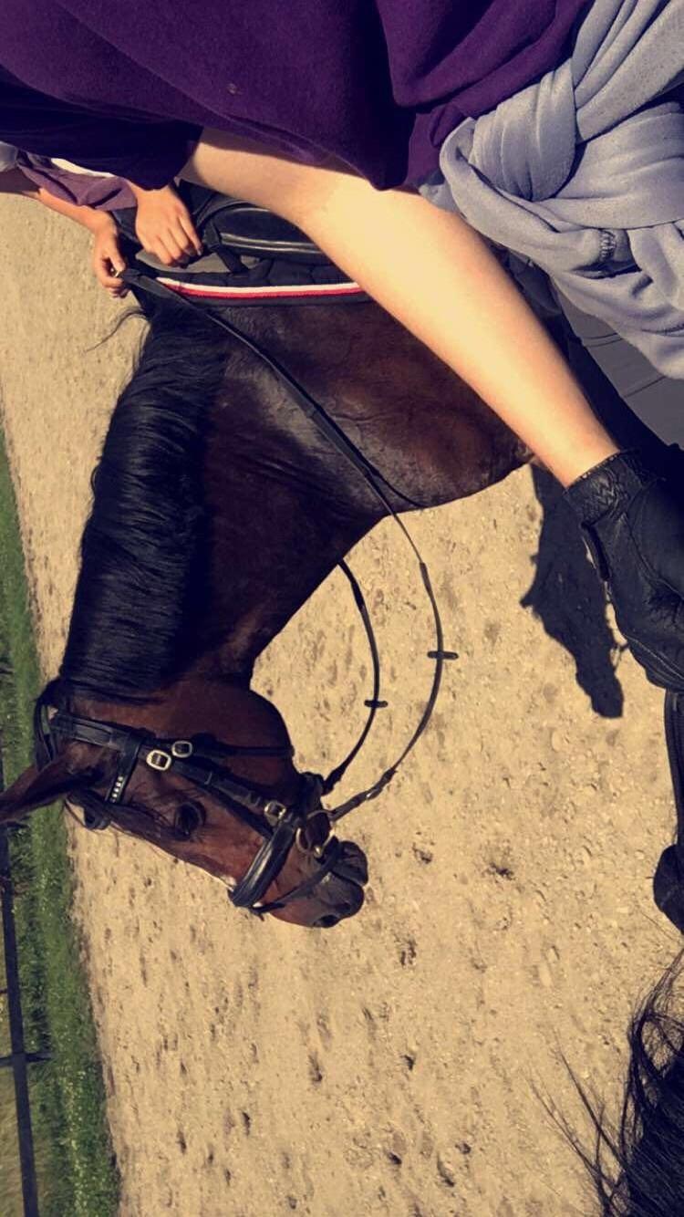 Connemara Claire[Tidl. Part] billede 14