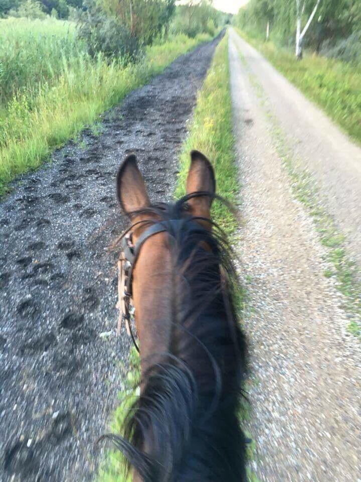 Anden særlig race Cypresgårdens Celina billede 9