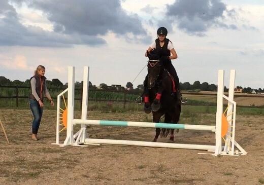 Oldenborg Brandsmarks dina billede 16