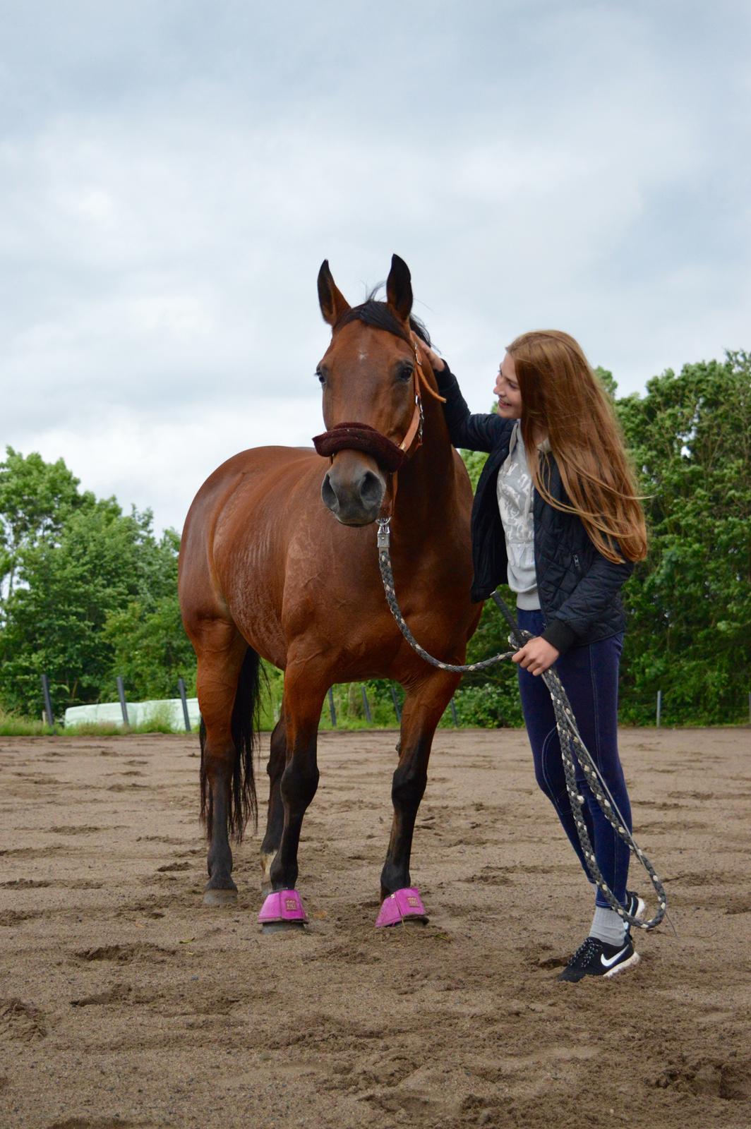 Anden særlig race Linka billede 1