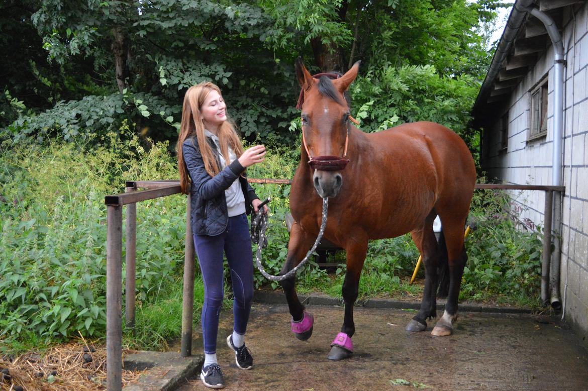 Anden særlig race Linka billede 2