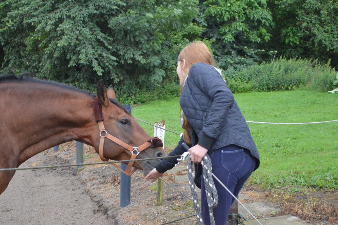 Anden særlig race Linka billede 5