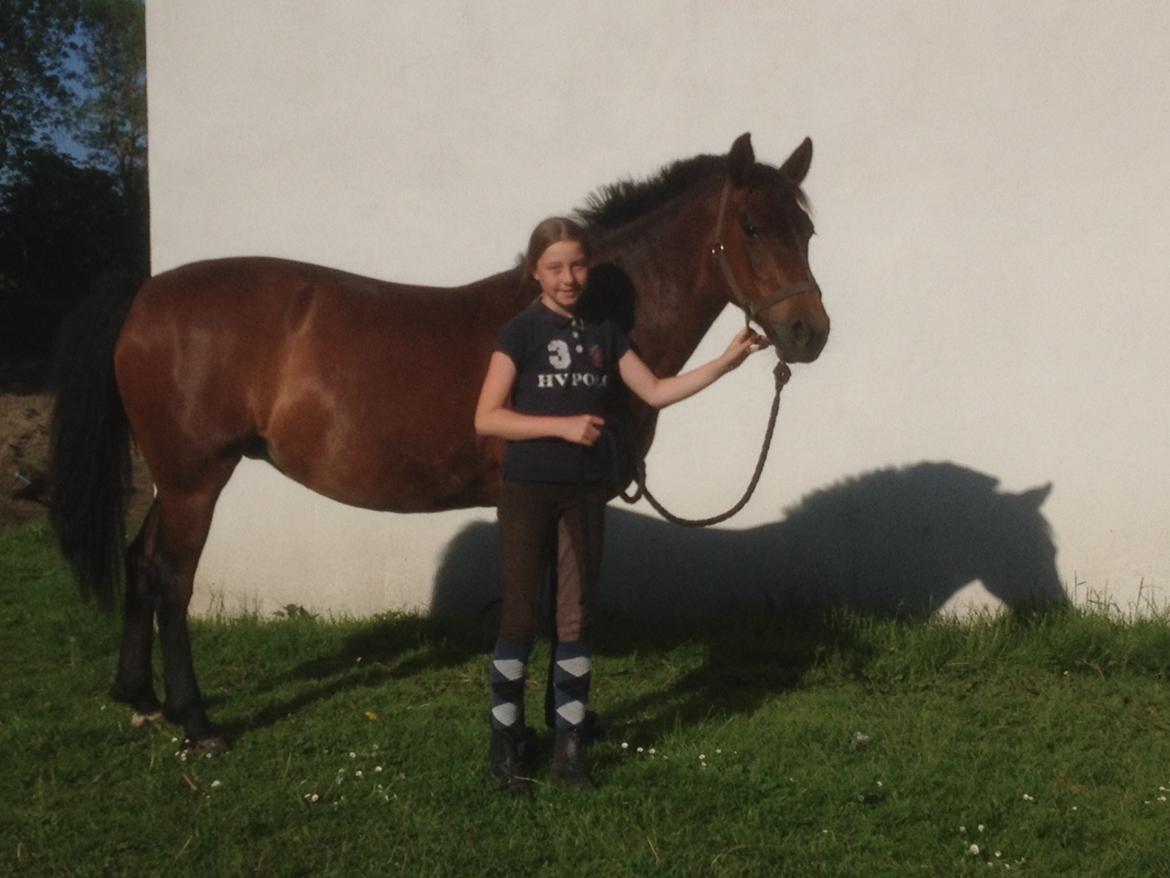 Anden særlig race Malou billede 1