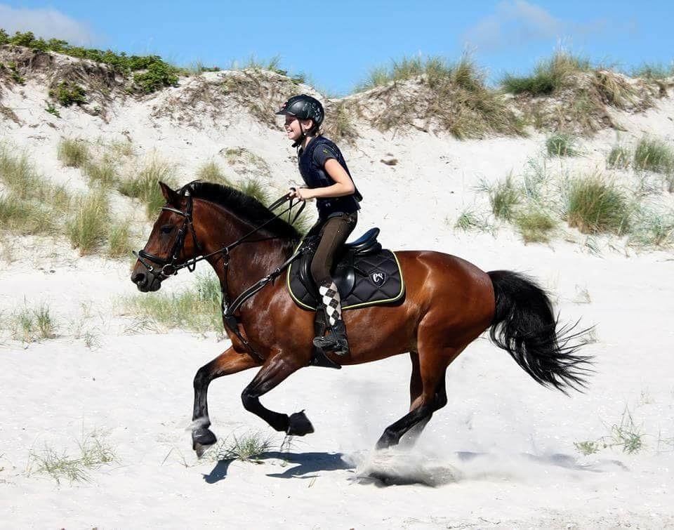 Anden særlig race Malou billede 3