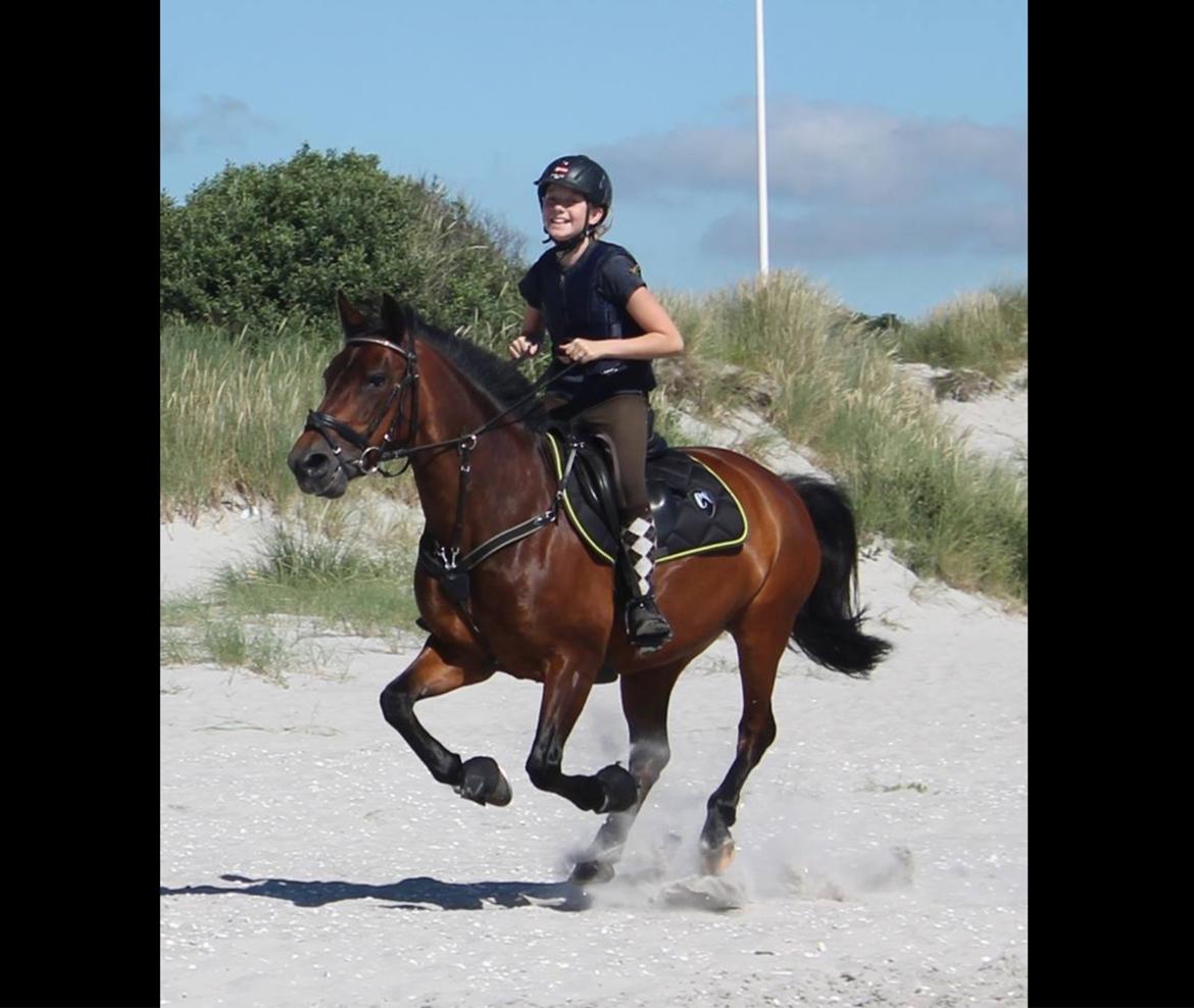 Anden særlig race Malou billede 7