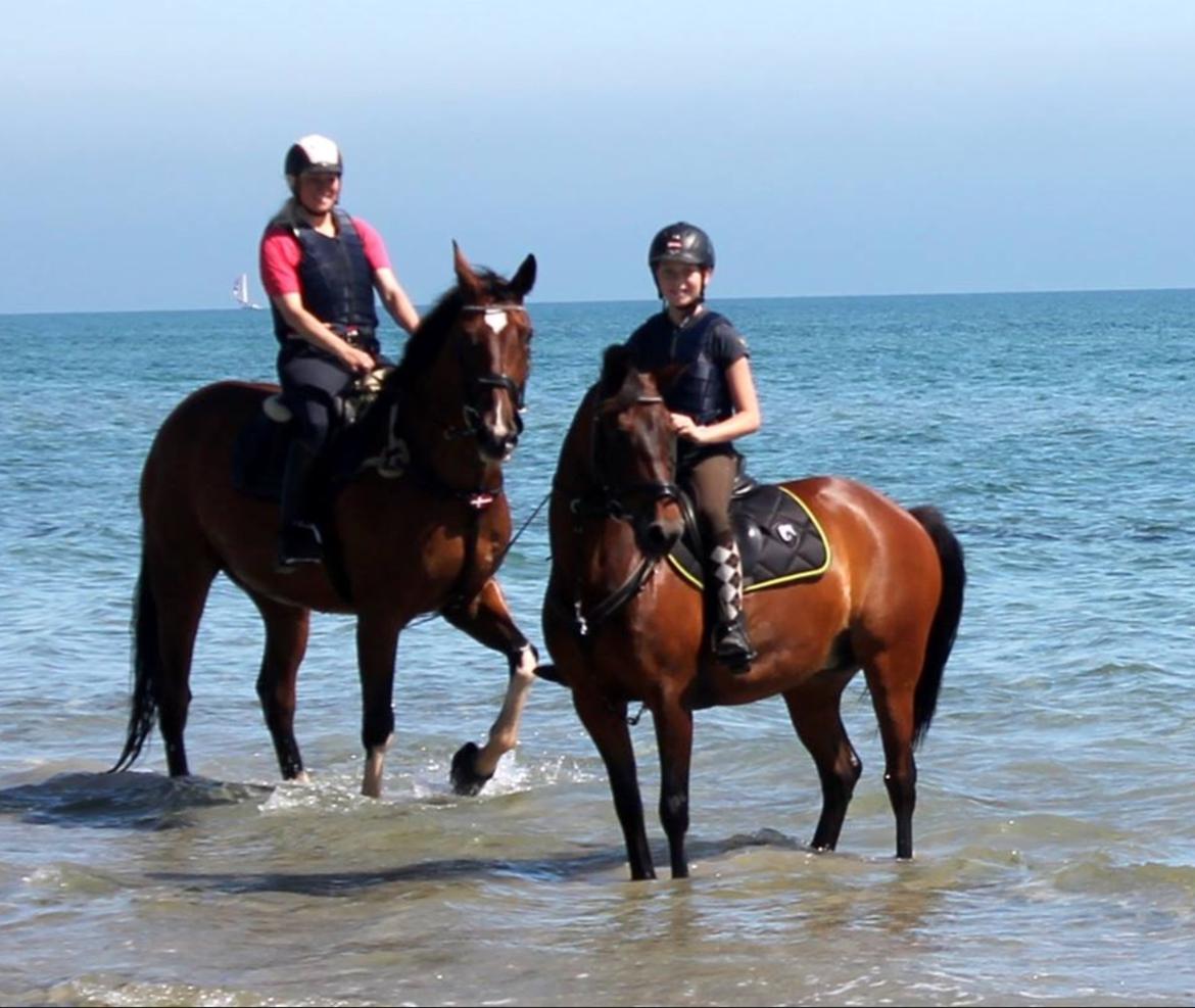 Anden særlig race Malou billede 5