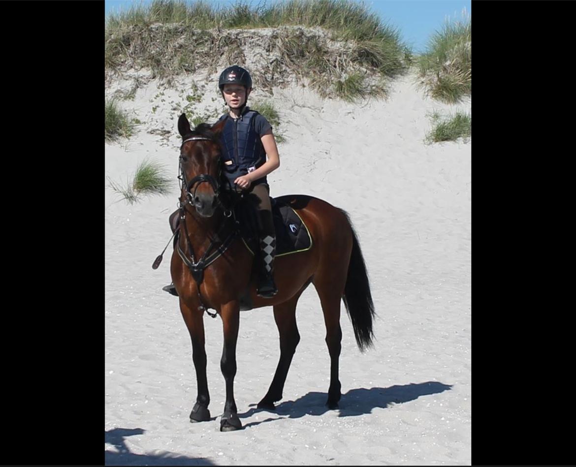 Anden særlig race Malou billede 9