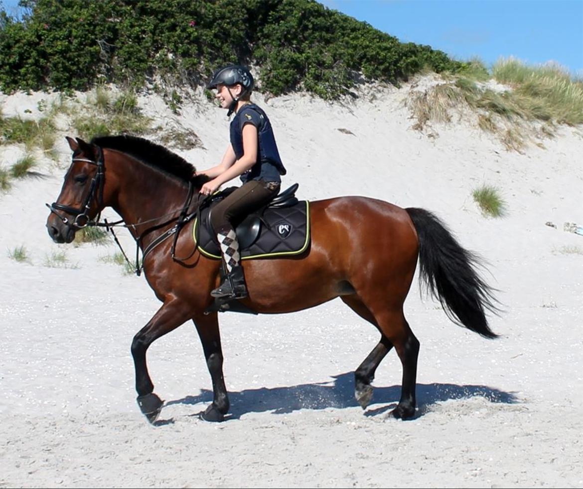 Anden særlig race Malou billede 10