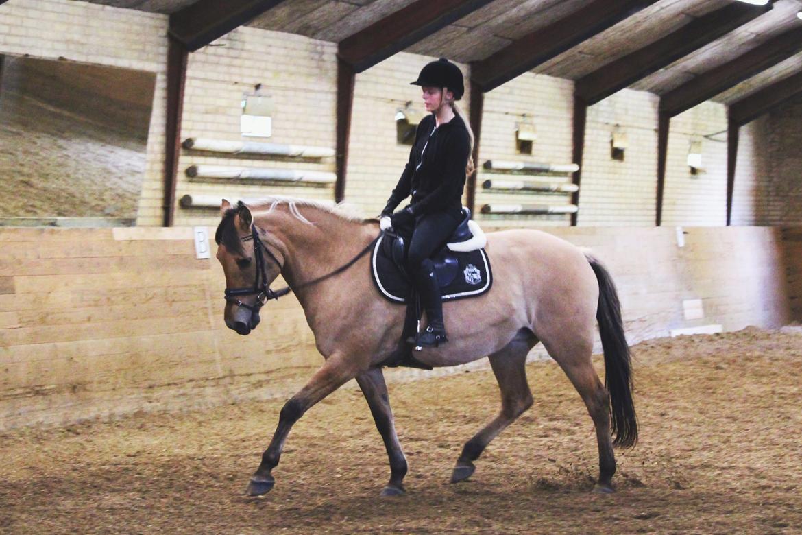Anden særlig race Bonnie <3 {part}  - "When a loved one becomes a memory,
memory becomes a treasure." <3 billede 15