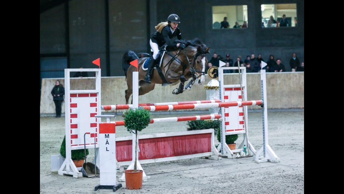 Irsk Sportspony Mystic Sandy - indendørs DM 2016 billede 2